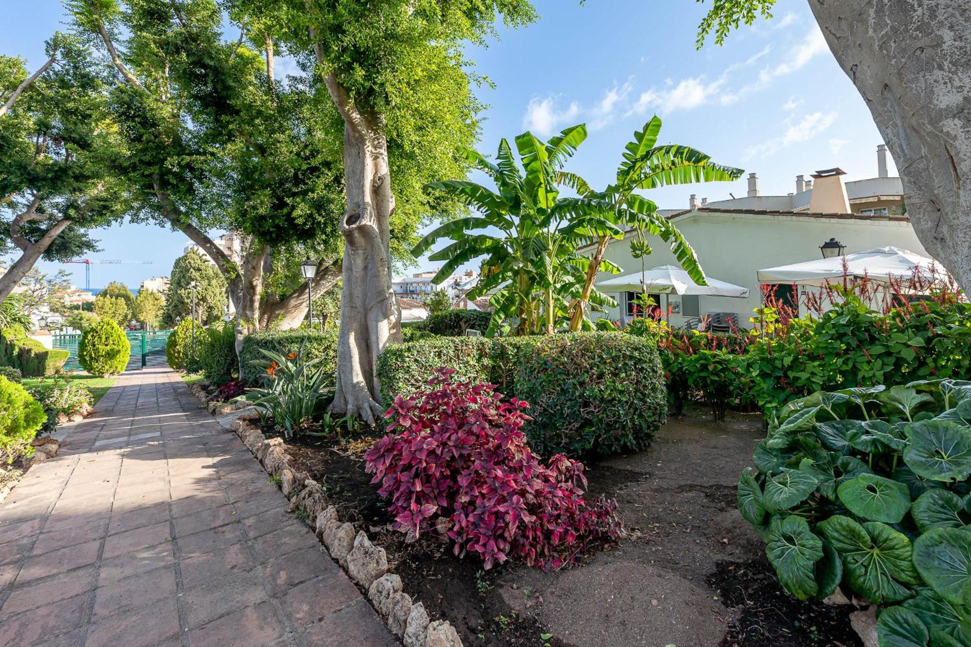 Carihuela Torremolinos With Pool And Free Parking 5 M Beach Exterior photo